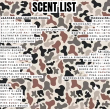 Load image into Gallery viewer, Softball Car Air Freshener